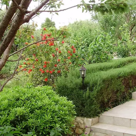 Vujic- Dolac Διαμέρισμα Τρογκίρ