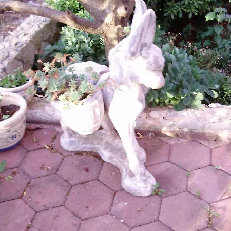 Vujic- Dolac Apartamento Trogir