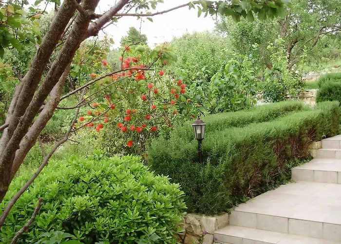 Vujic- Dolac Daire Trogir