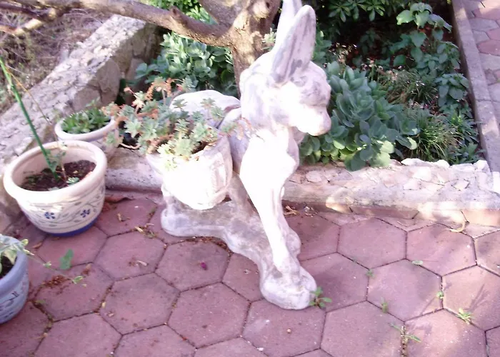 Vujic- Dolac Daire Trogir